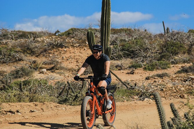 Electric Bike Beach & Deset Tour in Cabo by Cactus Tours Park - Cancellation Policy and Weather Refunds