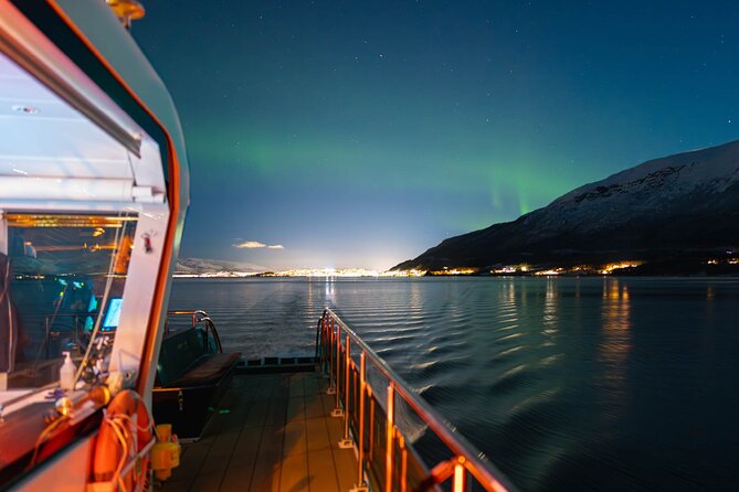Electric Northern Lights Cruise - Traveler Reviews