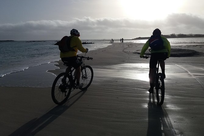 Eleftherna E-Bike and MTB Tour - Experience The Authentic Crete - Directions to the Meeting Point