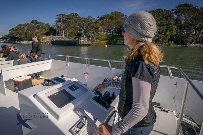 Elkhorn Slough Wildlife Tour - Wildlife Sightings, Ecosystem Exploration, and Conservation Efforts