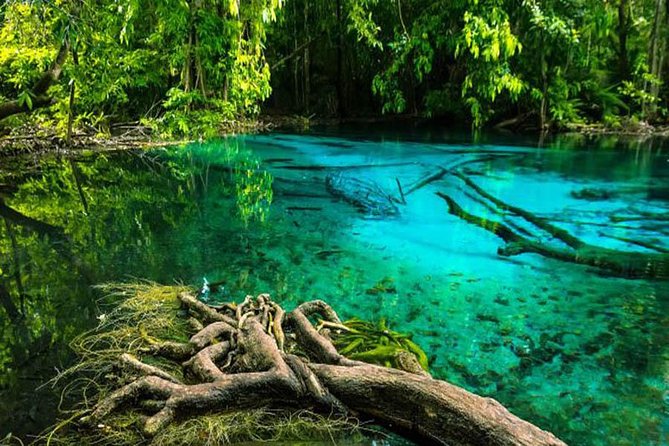 Emerald Pool, Hot Spring Waterfall, Tiger Cave Temple From Krabi - Common Questions
