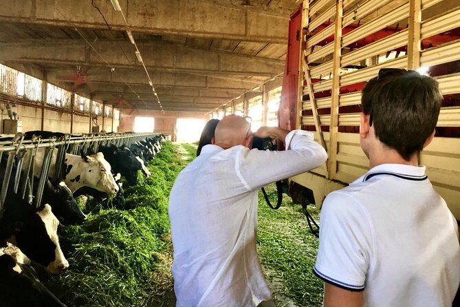 Emilia Parmigiano Reggiano and Prosciutto Private Tasting Tour  - Parma - Tour Highlights