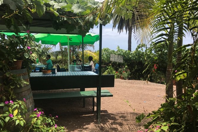 Enogastronomic Tour- 4 Hours in Tenerife - The Sum Up