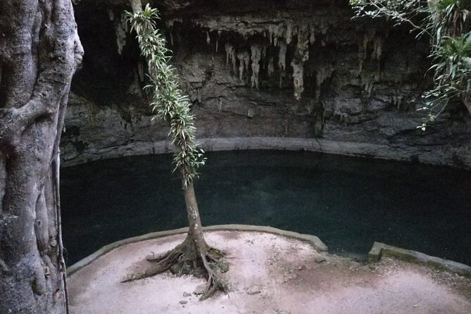 Entrance Fees to Cenote Suytun With Buffet - Directions to Cenote Suytun With Buffet