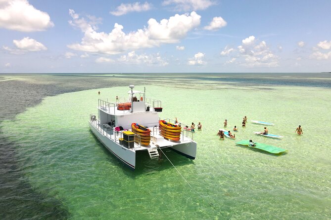 Epic Sandbar Safari With Dolphin Playground Encounter In Key West - Tips for an Epic Sandbar Safari