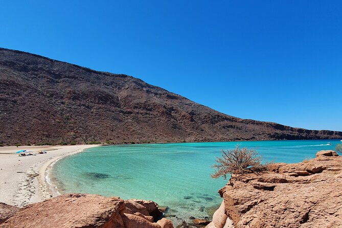 Espíritu Santo Island Snorkel and Sightseeing Tour on Small Group - Small Group Experience