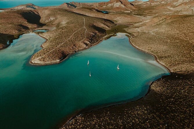 Espiritu Santo Island Tour - Customer Support and Pricing