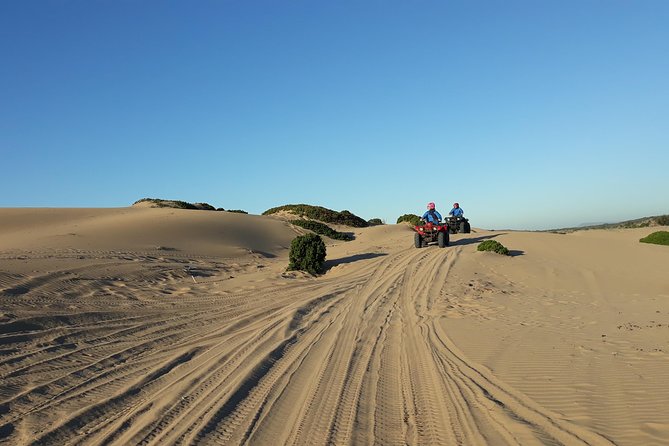 Essaouira: 2-Hour Quad Ride (Minimum 2 People) - Meeting and Pickup