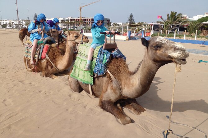 Essaouira: an Unforgettable 2 Hour Ride on a Camel - Overview of the Tour Operator