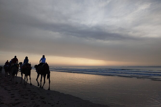 Essaouira Private Full Day Trip From Marrakech - Common Questions