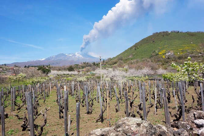 Etna Private Tour From Messina Traditional Lunch at Etna Winery - Additional Information