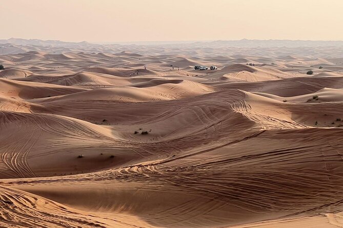 Evening Desert Safari Abu Dhabi With Dinner - The Sum Up