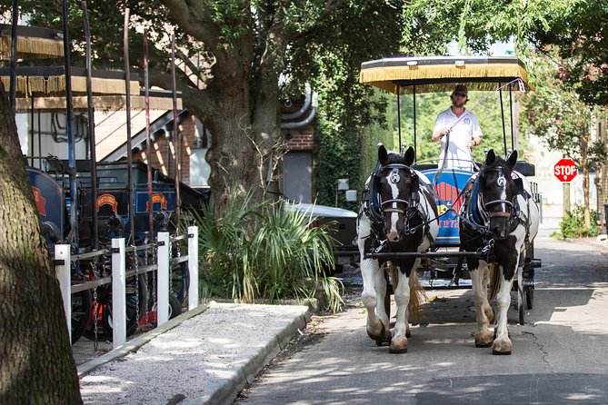 Evening Horse-Drawn Carriage Tour of Downtown Charleston - Positive Reviews and Historical Significance