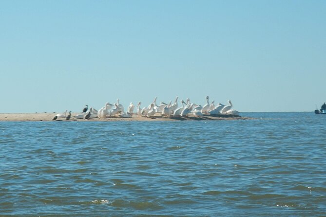 Everglades National Park Kayak/Learn to Sail Tour - Cancellation Policy