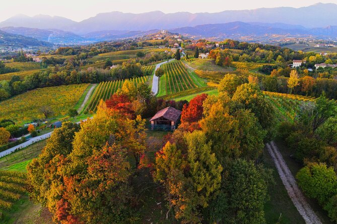 Exclusive Tour of the Vineyards With Visit to the Cellar! - Tour Confirmation and Accessibility