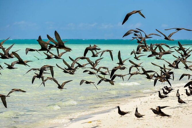 Excursion to Tetiaroa by Catamaran Visit Lunch Snorkeling - Directions for Booking the Tetiaroa Catamaran Excursion
