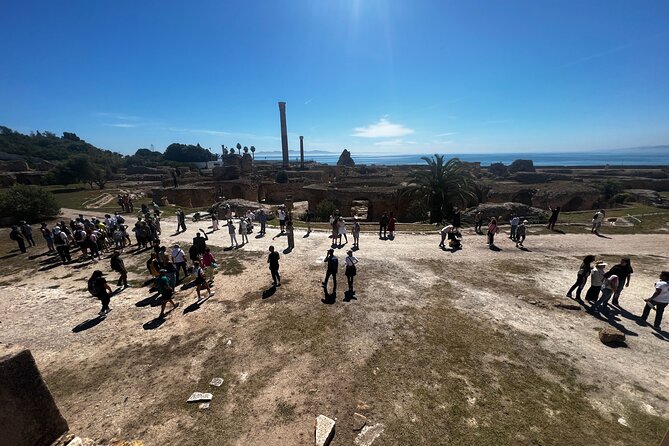 Excursion to Tunis Carthage Sidi Bou Said Departure Hammamet - Price and Terms