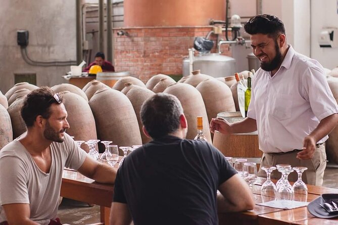 Experience and Tasting of Pisco and Peruvian Wine - Tips for Enjoying and Purchasing Pisco and Peruvian Wine
