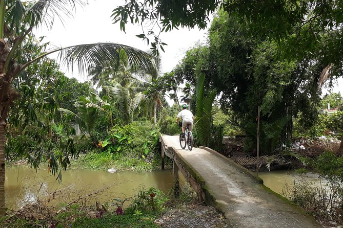 Experience Mekong By Bike & Boat 04 Days Activities - The Sum Up