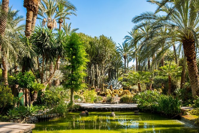 Experience the World Heritage City of Elche Private Tour - Experience the World Heritage City of Elche