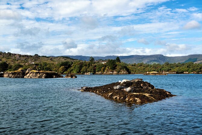 Explore Cape Clear Island Departing From Schull - Self-Guided - Common Questions
