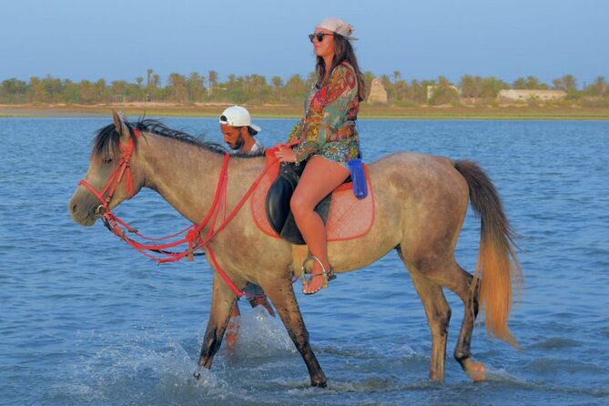 Explore Djerba With Our Four-Legged Friends - Cancellation Policy for Djerba Tours