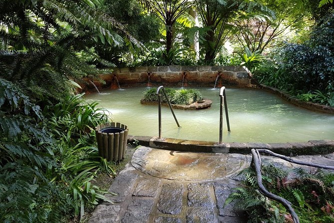 Explore Furnas by Van - Full Day Tour With Lunch and Thermal Baths - Pricing and Offer Details