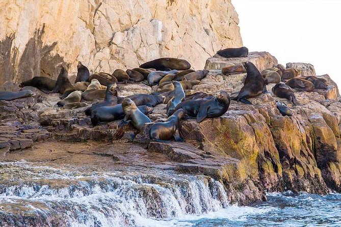 Explore Los Cabos City Tour, Glass-Bottom Boat Ride, Lunch and Shopping! - Directions and Logistics
