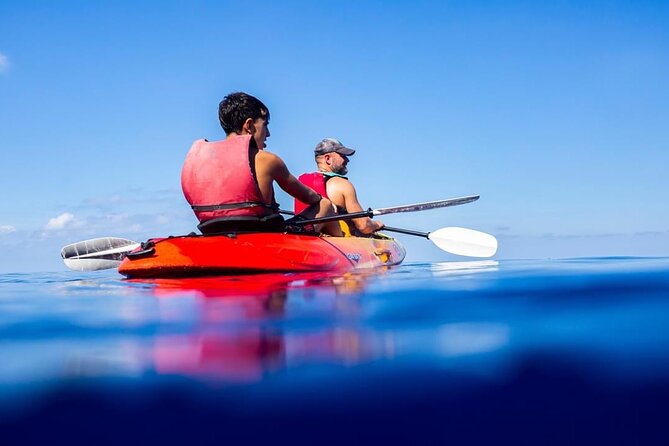 Explore the Island Dragonera With the Kayak - Dragonera Islands Fascinating History