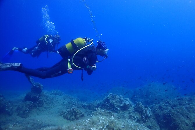 Explore Worlds Largest Plane Wreck by Scuba Diving in Kusadasi - Tips for Exploring the Plane Wreck