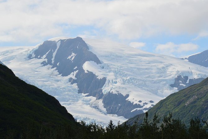Exquisite Wildlife & Wilderness Photo Tour Anchorage -Whittier - Common Questions