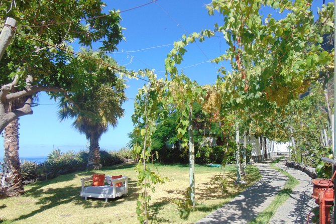 Fajã Dos Padres Organic Farm Tour With Cable Car Ticket  - Madeira - Directions to Fajã Dos Padres Organic Farm