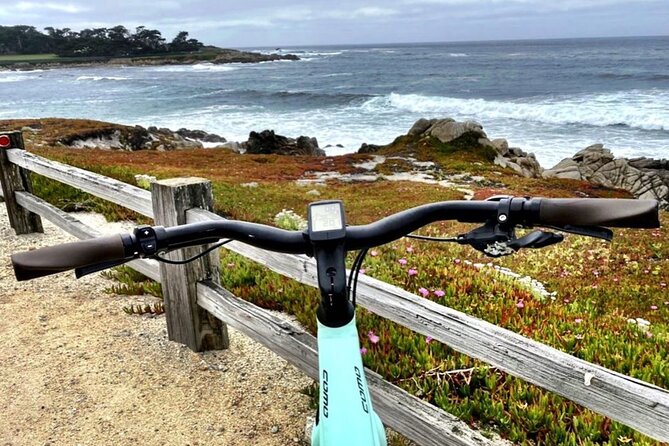 Family-Friendly 17-Mile Drive 2.5-hour Electric Bike Tour - Common Questions