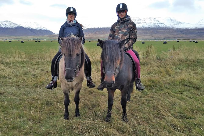 Family Friendly Horse Riding Tour in Skagafjörður - Directions