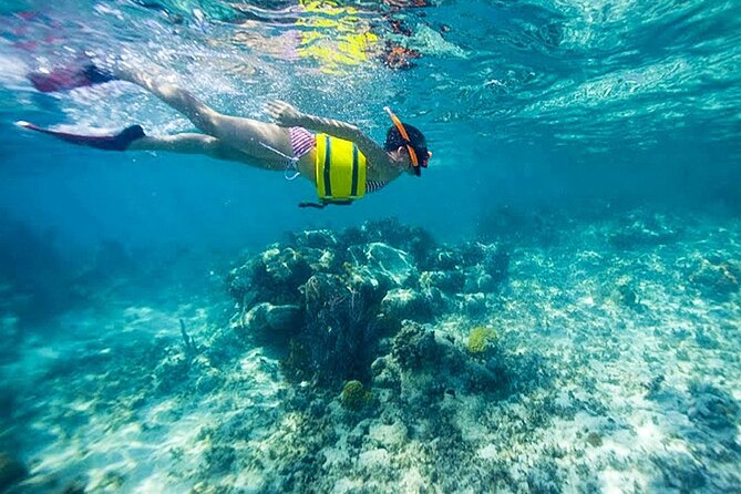 Family Fun-Snorkeling Activity in Montego Bay W/Lunch Stop - Common Questions