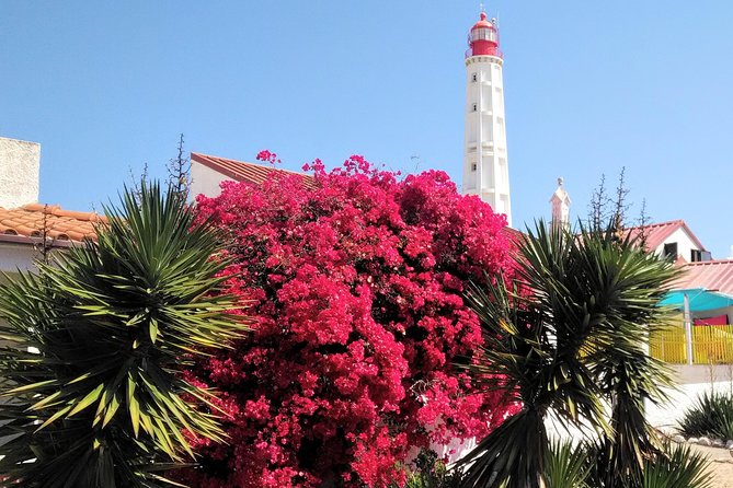 Faro - Ria Formosa Tour With Visit to 2 Islands (Deserta, Farol) 3.5 Hours - Customer Questions and Support