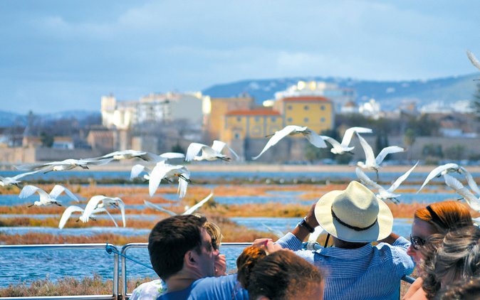 Faro to Ilha Deserta, Rio Formosa Natural Park Eco-Tour - Pricing and Terms