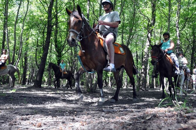 Fethiye Horse Riding Experience With Free Hotel Transfer Service - The Sum Up