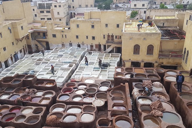 Fez Medina Half Day Walking Tour - Questions and Additional Information