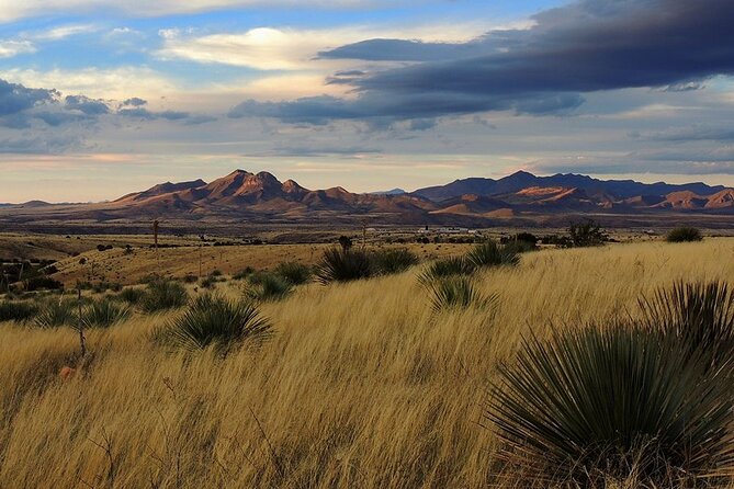 Fine Wineing - a Wine Tasting Experience in the Vineyards of the Desert! - Background Information