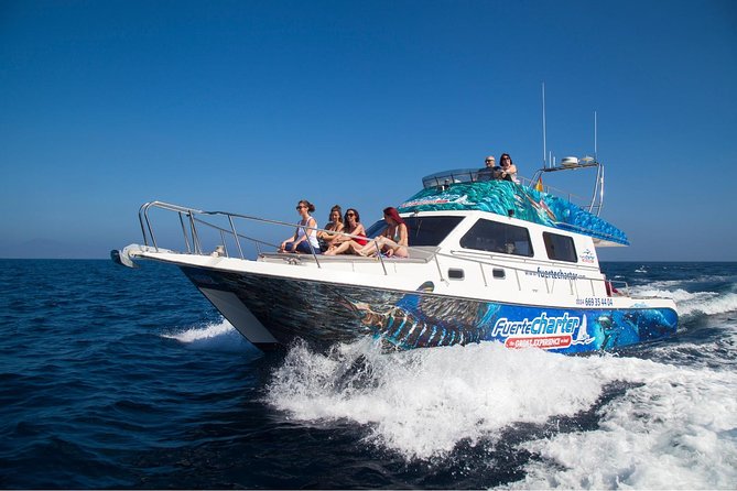 Fishing Lobos Island - Common Questions