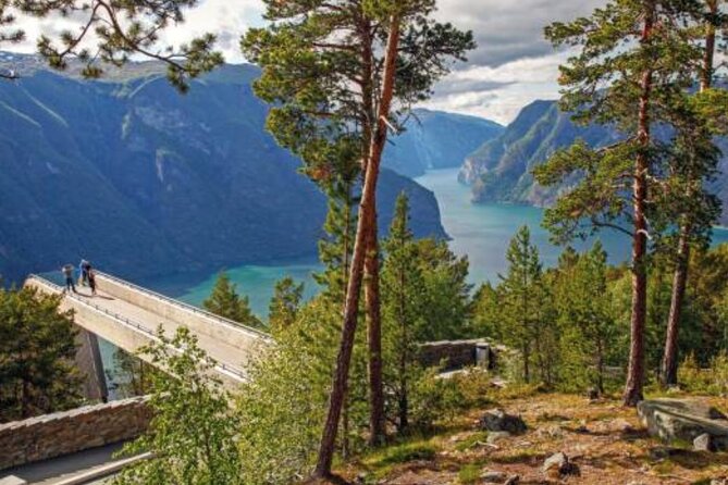 Flam: The Spectacular Stegastein Viewpoint Tour (Small Group) - Additional Information
