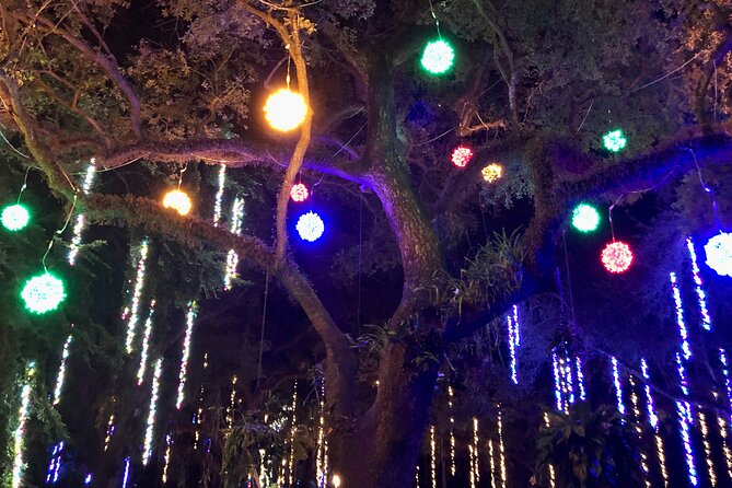 Flamingo Gardens Garden of Lights - Additional Information and Support