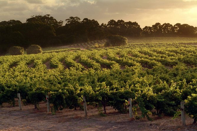 Flight to Leeuwin Winery for Lunch - Lunch Options