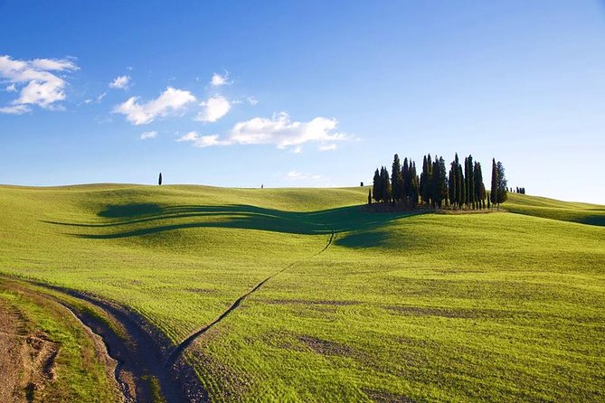 Florence to Montalcino and Montepulciano: Wine Tour With Lunch - Common Questions