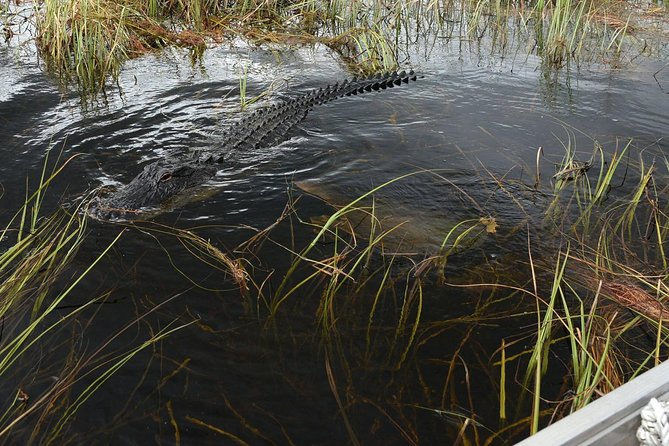 Florida Everglades Private Night Airboat Ride Tour - Directions