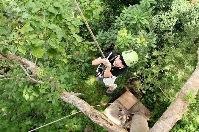 Flying Hanuman Ziplines 42 Platforms With Lunch & Transfer Roundtrips - Benefits of the Product Code: 199432P15