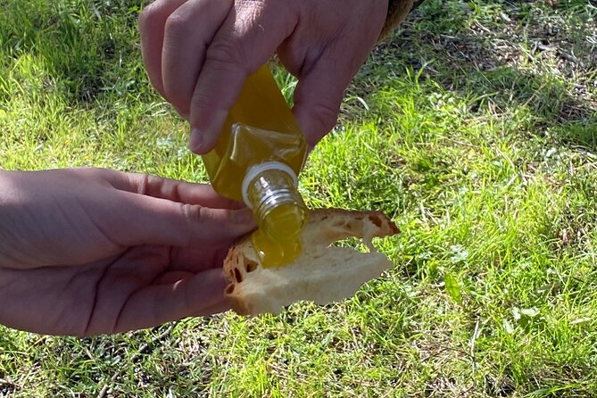 Food and Wine Tour Between the Patriarchs Olives and the Oil Temples - Reviews and Testimonials