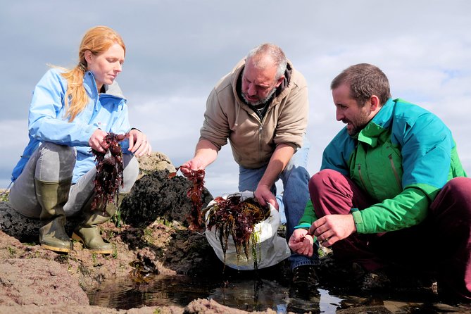 Food, Heritage & Cultural Tour Inishmore, Aran Islands. Guided. - Stone Forts and Historical Sites