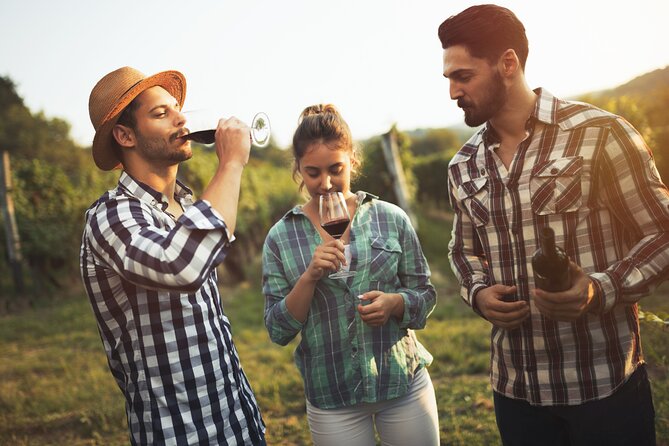 Frankfurt Wine Tasting Tour With a Wine Expert - The Sum Up